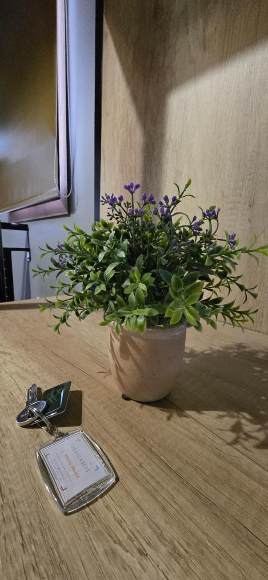 דירות גרנדה Ibericabeds Albaicin מראה חיצוני תמונה